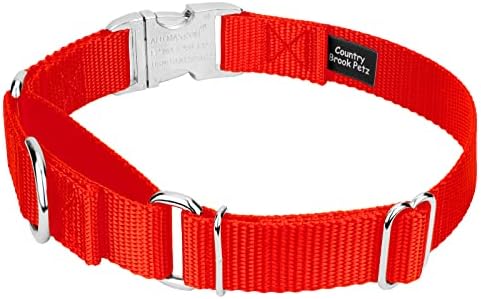 Country Brook Petz - Martingale Dog Collar - Heavy Duty Nylon Adjustable Martingale Dog Collar with Metal Buckle for Small Medium Large Breeds 30+ Color Options (3/4 Inch, Small, Hot Orange)