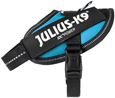 Julius-K9, 16IDC-AM-B2, IDC Powerharness, Dog Harness, Size: Baby 2, Aquamarine