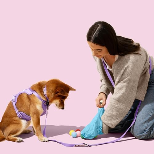 13 in. x 9 in. Extra Thick Leak Proof Unscented Dog Poop Bags, Blue (300 Count, 20-Rolls)