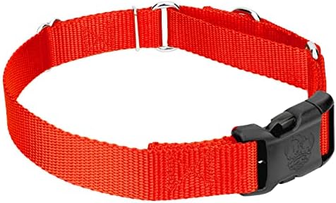 Martingale Dog Collar - Heavy Duty Nylon Adjustable Martingale Dog Collar with Plastic Buckle for Small Medium Large Breeds - 30+ Colors (1 Inch, Medium, Hot Orange)