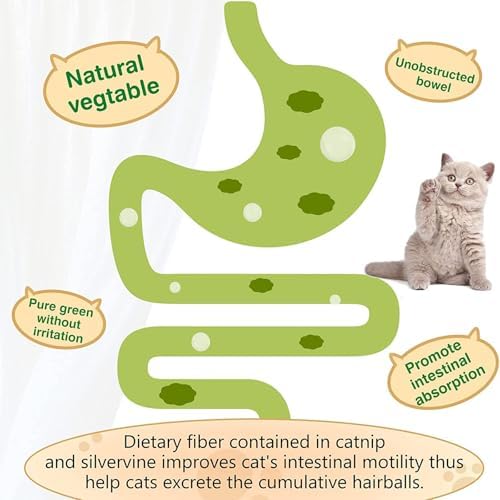 3 Pack Catnip Balls, Catnip Ball for Cats Wall, Edible Kitty Toys for Cats Lick, Safe Healthy Kitten Chew Toys, Teeth Cleaning Dental Cat Toys, Cat Wall Treats (1, Green)
