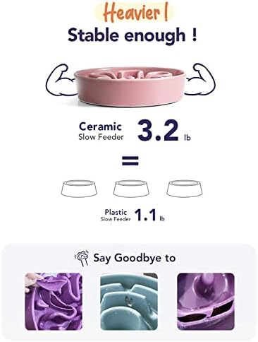 LE TAUCI Ceramic Slow Feed Dog Bowls, Elevated for Small and Medium Breed Dogs, Anti-Gulping Pet Feeding Dishes, Flower Pink, 1.5 Cups