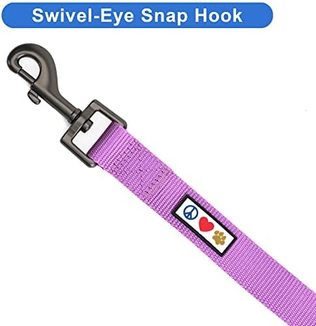 Pawtitas Personalized 6 ft Orchid Dog Leash XS/S Custom Name and Phone Embroidery Strong Nylon Leash for Small Breeds