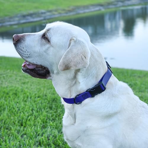 Dogline Biothane Waterproof Dog Collar with Quick Release Buckle Strong Coated Nylon Webbing with Odor- Proof for Easy Care Easy to Clean Fits Small Medium or Large Dogs, Royal Blue 1" W 15-23" L