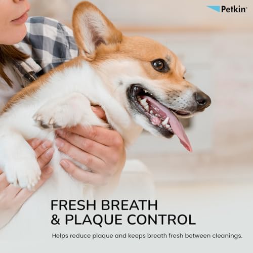 Petkin Cat and Dog Dental Wipes, 80 Wipes (Fresh Mint) - Natural Formula Cleans Teeth, Gums & Freshens Breath - for Daily Use - Convenient Dog Dental Care - 2 Packs of 40 Wipes (80 Wipes Total)
