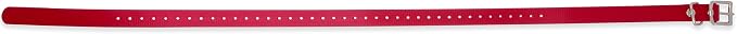 E-Collar Educator 3/4" Biothane Dog Collar Strap, Red | Waterproof Biothane, Metal Buckle & D-Ring, Adjustable 33", Fits Compatible Educator 3/4" Receivers