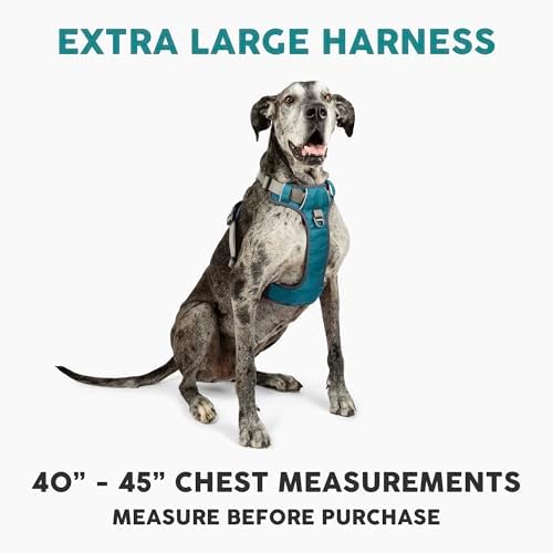 Embark No Pull Dog Harness, Reflective Adjustable Training Vest, No Choke