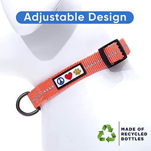 Pawtitas Recycled Dog Collar with Reflective Stitched Puppy Collar Made from Plastic Bottles Collected from Oceans Small Living Coral
