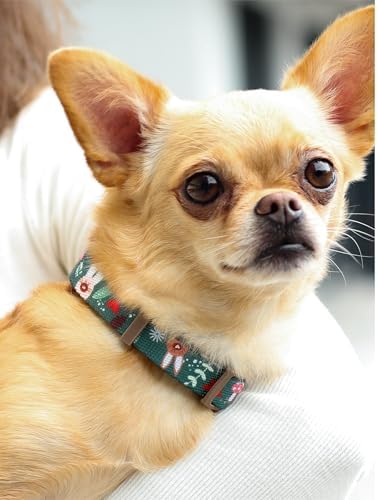 KIKI & RIKI Soft Nylon Dog Collar for Medium Dogs, Adjustable, Quick-Release Buckle, Size M (Neck 13.0-20.9"), Green Artist-Designed Print