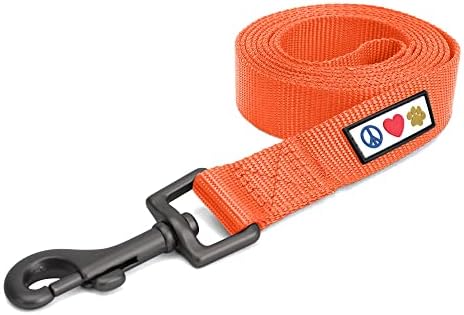 Pawtitas Solid 6 ft Orange Dog Leash XXS/Cat Custom Name and Phone Embroidery Strong Nylon Leash for Small Breeds