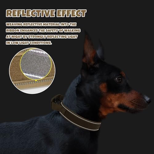 Tactical Dog Collar with Name Patches, Khaki: M
