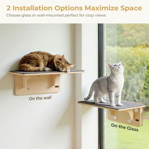 Pecute 2-in-1 Large Cat Window Perch & Wall Shelves, Solid Wood, 21"x11"