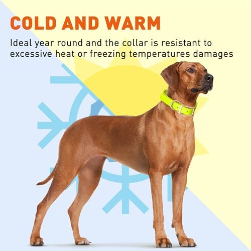 Viper Biothane Heavy Duty Waterproof Dog Collar Strong Coated Nylon Webbing w/Solid Brass Hardware Odor-Proof Easy to Clean High Performance Fits Small Medium or Large Dogs, Safety Yellow