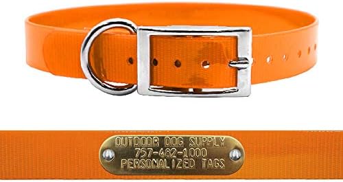 Heavy Duty Waterproof D-Ring Dog Collar w Personalized Name Tag, Orange 18"