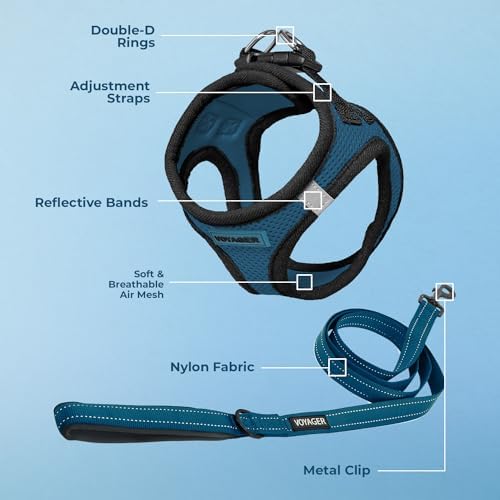 Best Pet Supplies Voyager Step-in Air All Weather Mesh Harness and Reflective Dog 5ft Leash Combo with Neoprene Handle, for Small, Medium and Large Breed Puppies - Blue/Black Trim, X-Small