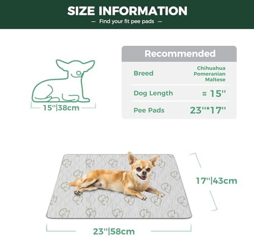 FXW Washable Pee Pads for Dogs, Super Absorbent, 17" x 23", 1 Pack