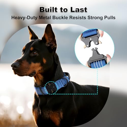 Plutus Pet Tactical Dog Collar with Pocket for AirTag, Blue, L