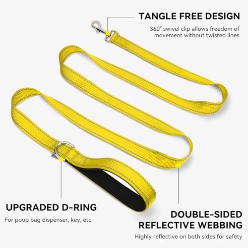 Joytale Reflective Dog Leash for Medium & Large Dogs, 5 FT x 1", Yellow
