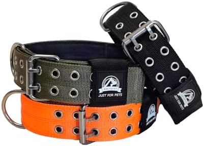 4-Layer Nylon Dog Collar,Heavy Duty for Large Dogs,Orange XL