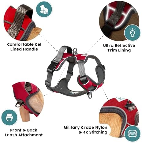 Embark No Pull Dog Harness, Reflective Adjustable Training Vest, No Choke