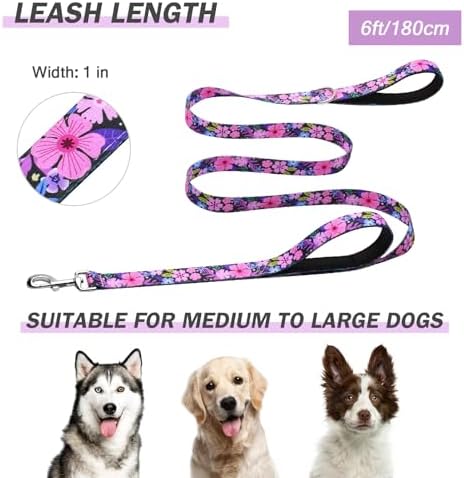 Hikiko 6FT Dog Leash Padded Double Handle with Designed Pattern