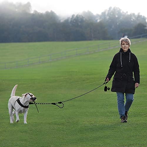 Plutus Pet Rope Dog Leash with Double Handles, 6 FT Long, Reflective