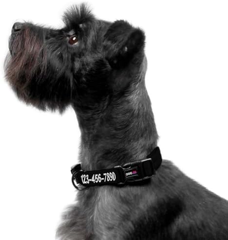 Dogline Black Customizable Personalized Nylon Collar (W: 5/8" L: 11"-16")
