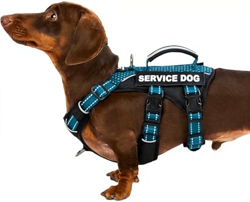 Huntboo Service Dog Vest Harness, Escape Proof Harness with 6 Patches, No-Pull, Reflective Harness with Handle, Adjustable for Small to Large Dogs, for Training and Hiking (Teal, XS)