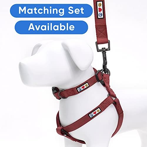 Pawtitas Solid Color Marsala Brown Puppy or Dog Collar, Medium