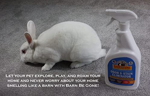Superhero Strength Stain & Pet Odor Eliminator | Enzyme Carpet Cleaner Spray for Pets | Pet Stain Remover for Dog and Cat Urine Destroyer | Small Pet and Puppy Supplies | Pee Deodorizer