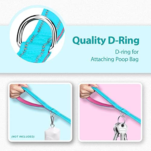 PHOEPET 5 Feet Dog Leash with Comfortable Padded Handle Easy Snap Clasp