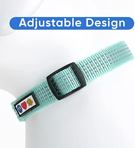 Pawtitas Reflective Dog Collar for X-Small Dogs – Adjustable Nylon Puppy Collar with Quick-Release Buckle | Fits Neck 8–13 in | Night Safety Training Collar | XS | Teal