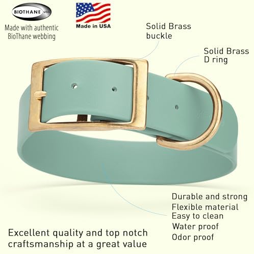 Viper Biothane Heavy Duty Waterproof Dog Collar Strong Coated Nylon Webbing w/Solid Brass Hardware Odor-Proof Easy to Clean High Performance Fits Small Medium or Large Dogs, Sage Green