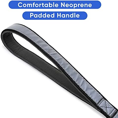 6-Ft Reflective Padded Leash by Pawtitas Store