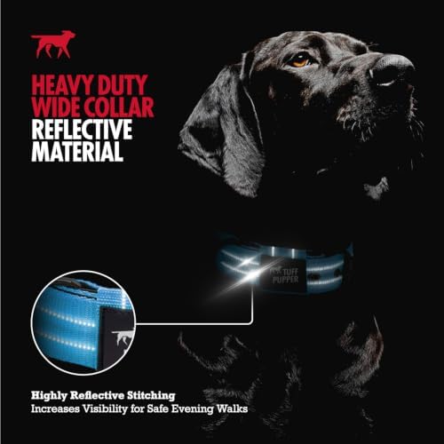 Tuff Pupper Heavy Duty Tactical Dog Collar | 1.5" Wide Ballistic Nylon | Reflective Stitching | Integrated ID Tag Holder | Stainless Steel Buckle | Padded Lining | Medium & Large Dogs (Teal, Medium)