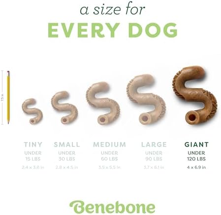 Benebone Tripe Bone Durable Dog Chew Toy for Aggressive Chewers, Real Tripe, Made in USA, Giant