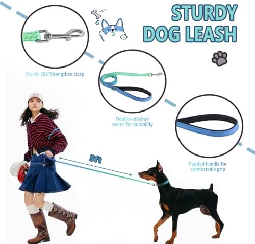 Roses&Poetry Bluegreen Medium Dog Collar and Leash Set, Puppy Reflective Leashes with Collars, Adjustable Durable Matching Collar Leash for Medium Dogs Girl (Bluegreen-M)