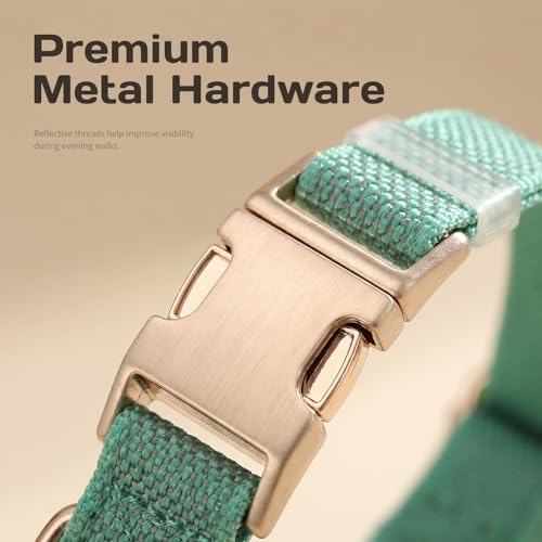 Custom Dog Collar with Name and Phone Number