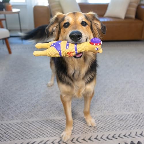 Outward Hound by Charming Pet Squawkers Henrietta Latex Squeaky Rubber Chicken Dog Toy, Funny Interactive Holiday Toy for Dogs, Large Size (Pack of 2)