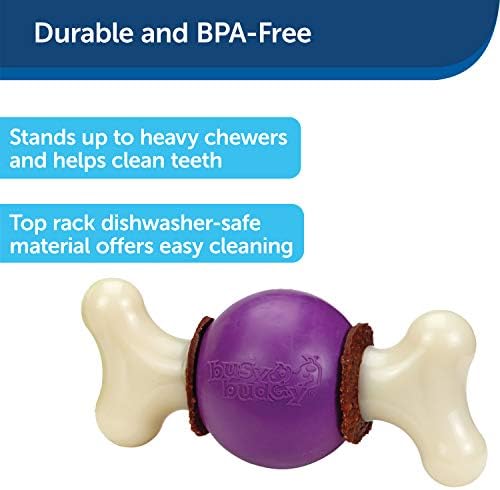 PetSafe Busy Buddy Bouncy Bone Treat Holding Dog Chew Toy, Medium/Large