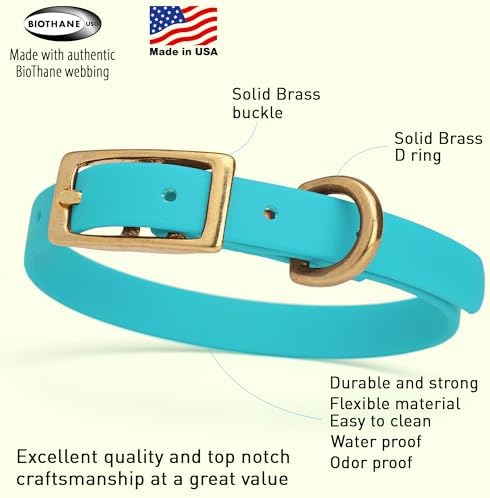 Viper Biothane Heavy Duty Waterproof Dog Collar Strong Coated Nylon Webbing w/Solid Brass Hardware Odor-Proof Easy to Clean High Performance Fits Small Medium or Large Dogs, Sky Blue