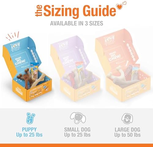 Nylabone Puppy Gift Box, Strong Chew Toys & Treat, Small, 4 Count