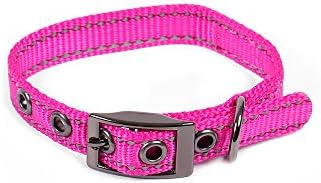 Max and Neo MAX Reflective Metal Buckle Dog Collar - We Donate a Collar to a Dog Rescue for Every Collar Sold (X-Small, Pink)