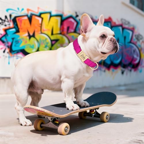 PET ARTIST Colorful Personalized Dog Collars, Breathable Soft, Hot Pink,M