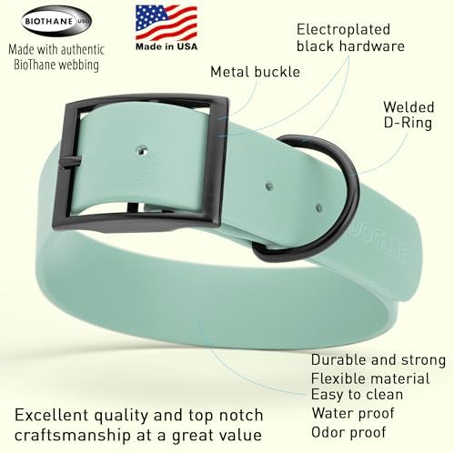 Dogline Biothane Waterproof Dog Collar Strong Coated Nylon Webbing with Black Hardware Odor- Proof for Easy Care Easy to Clean High Performance Fits Small Medium or Large Dogs, Sage Green
