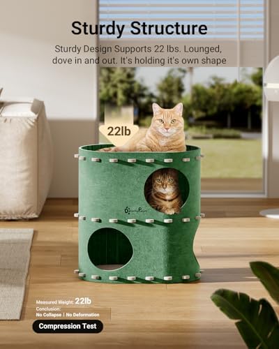 DownyPaws Cat House for Indoor Cats, 2-Storey Cat Bed Cave, Forest