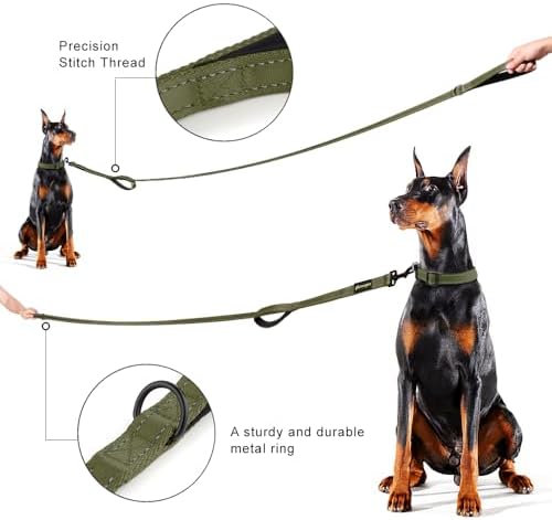Plutus Pet Double Handle Dog Leash, 5 FT Long, for Medium Large Dogs