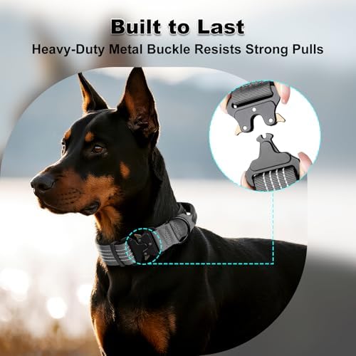 Plutus Pet Tactical Dog Collar with Pocket for AirTag, Gray, M