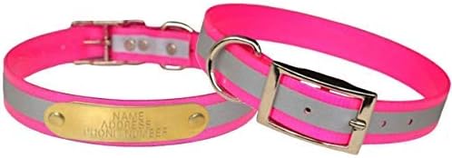 Reflective Dayglo Dog Collar Free Engraved Brass ID tag USA (Pink 25")