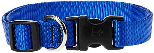 LupinePet Basics 3/4" Blue 9-14" Adjustable Collar for Small Dogs